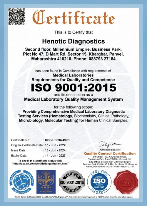 ISO Certified Certificate